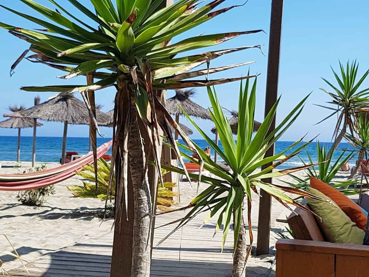 Beau Studio A 1 Minute De La Plage Canet-en-Roussillon Exterior foto